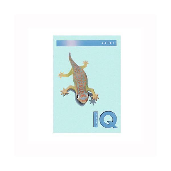 iƖpZbgj ɓ oCIgbvJ[ A4 250 160g^m2 BT808 ~fBAu[ k×2Zbgl s