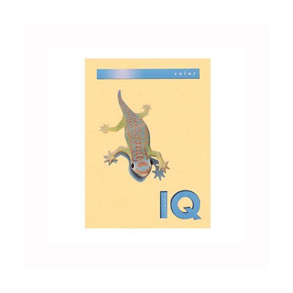 iƖpZbgj ɓ oCIgbvJ[ A4 250 160g^m2 BT815 T[ k×2Zbgl s