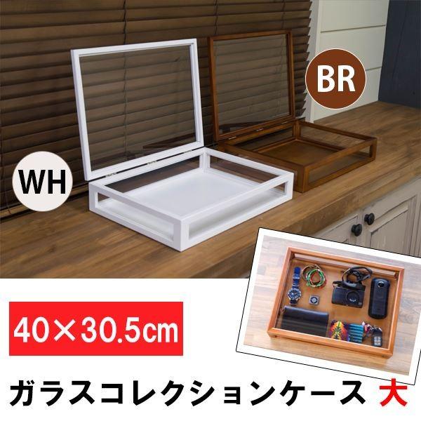 RNVP[X/fBXvCP[X Pi kl 40cm ؐt[ KX zCg() kil s