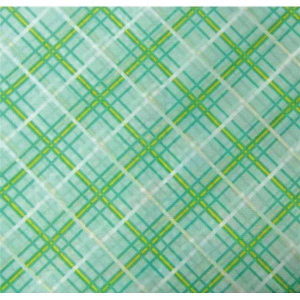 (܂Ƃ)݊y HpGv GRm~[HpGv O[ MR-3002k×5Zbgl s