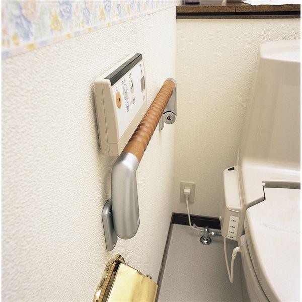 cӋHƏ p ܂肽ݎ肷w܂Ƃāx VFH-450 s