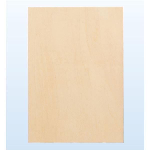 (�܂Ƃ�)�A�[�e�b�N �p�l�� �kA4 �˘g�l 210mm×297mm �k×15�Z�b�g�l ����s��