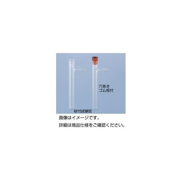 (܂Ƃ)}tǁk×20Zbgl s