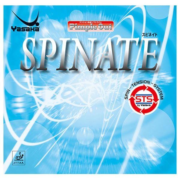 TJ(Yasaka) \\tgo[ XslCg B42 AJ A s