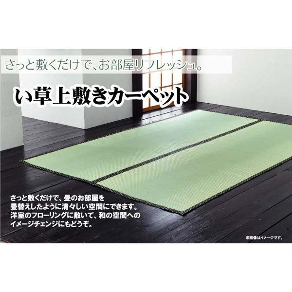 Y/{ oڐD ~ wÁx {6i286×382cmj s