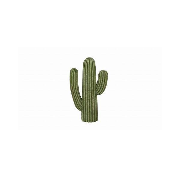 CACTUS D �J�N�^�X D K655-657D DULTON �_���g�� ������� ���킢�� ����s��