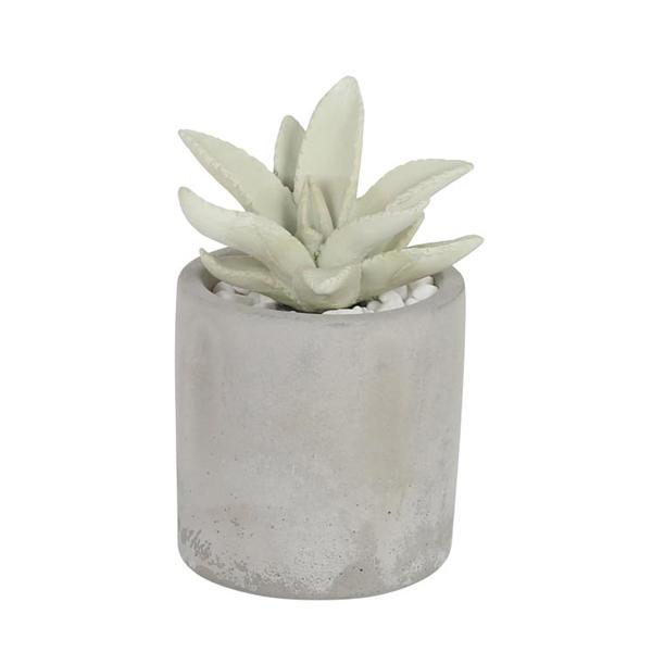 _g DULTON AGtOXfBt[U[ A AG s