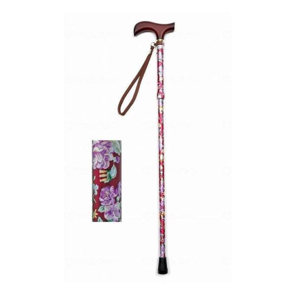 EFt@ CtXebL ܂肽ݐLk^ ԃC