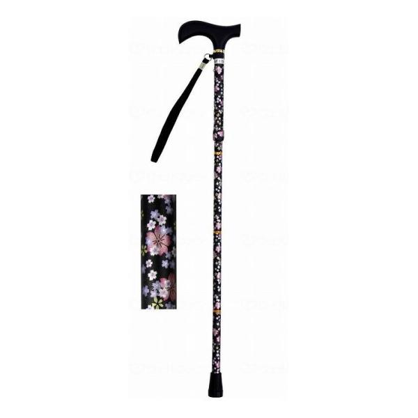 EFt@ CtXebL ܂肽ݐLk^ ubN