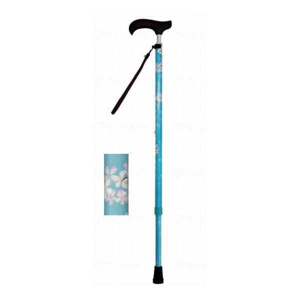 EFt@ CtXebL XlbNLkX^Cv  u[`F[