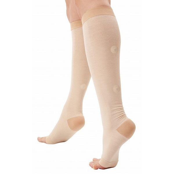 CT|[^[ ӂ͂pƂ 2 1 LTCY