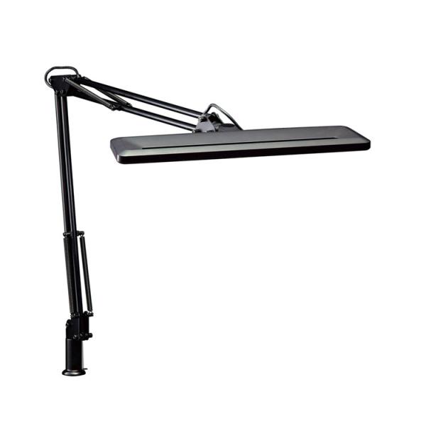 RcƖ ZCg Z-1000B Z-Light [bgCg ubN LEDCg fXNCg