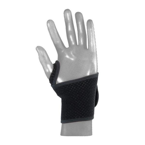 D&amp;M AXfB[T|[^[ 肵߂I[v^Cv  T|[^[ X|[cPApi