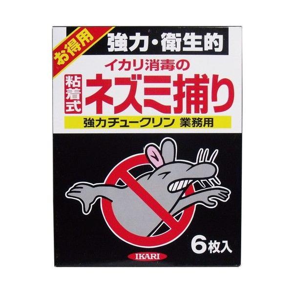 �C�J������ ���̓`���[�N�����Ɩ��p 6����