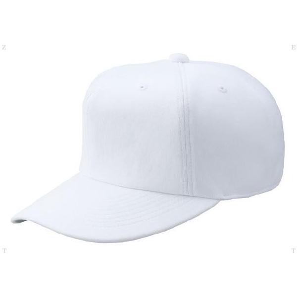 ZETT I[jbgLbviZj BH121   zCg 1100 TCY O (59`60cm)