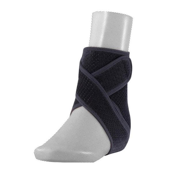 D&amp;M AXfB[T|[^[ 肵߂I[v^Cv  T|[^[ X|[cPApi