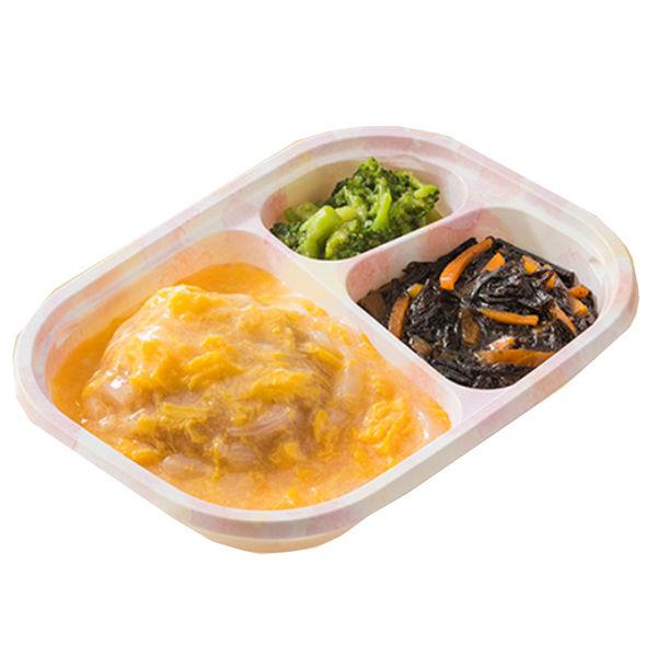 介護食 やわらか食　[冷凍食品] 日東ベスト ホスピタグルメセットN かつ煮 165g 1セット(10個)（直送品）