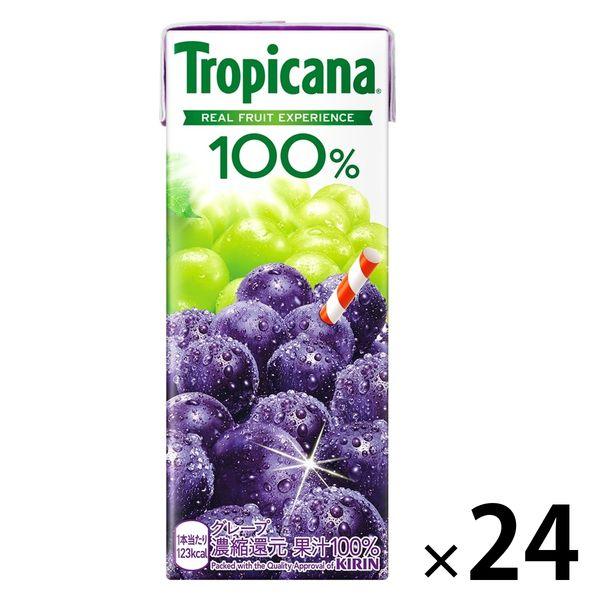 キリンビバレッジ トロピカーナ 100％グレープ 250ml 紙パック 1箱（24本入）