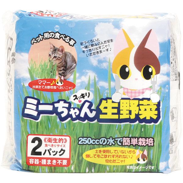 猫草 ミーちゃんのすっきり生野菜 2個入 イデシギョー