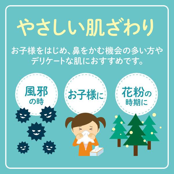 �e�B�b�V���y�[�p�[ �ێ� 10�g�i4���j �N���l�b�N�X ���[�V�����e�B�V���[ �|�P�b�g �X�k�[�s�[ ���{�����N���V�A ���i�摜2