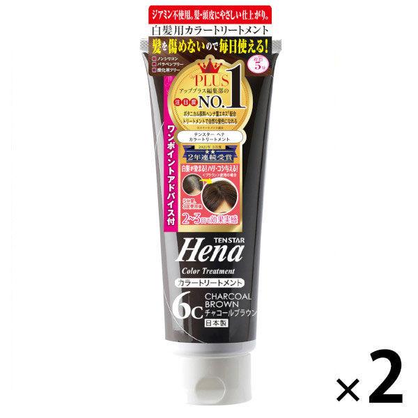 テンスター ヘナカラートリートメント チャコールブラウン 250g 2個 三宝