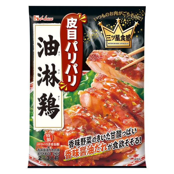 【アウトレット】ハウス食品 三ツ星食感 油淋鶏 1セット（3個入）