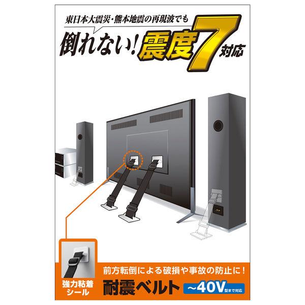 エレコム TV用耐震ベルト/~40V用/強力粘着シールタイプ/2本入 TS-001N2 1個(2本入)