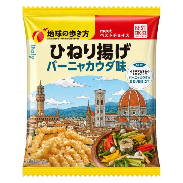 （セール）地球の歩き方　ひねり揚げ　バーニャカウダ味 1個 スナック菓子 おつまみ 食べきり菓子