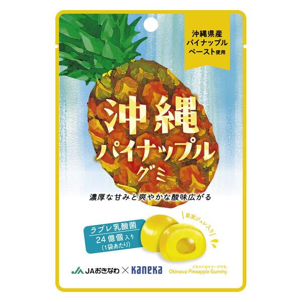 【アウトレット】カネカ食品 沖縄パイナップルグミラブレ乳酸菌 1セット(4個入)