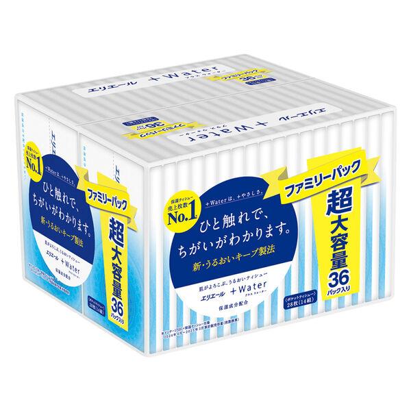 ティッシュペーパー エリエール +Waterポケット 14W36P 1パック 大王製紙