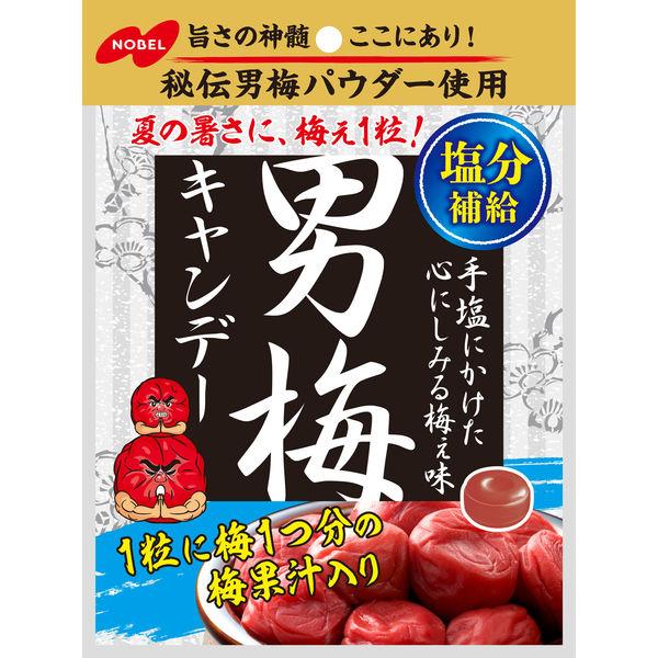 ノーベル 男梅キャンデー 1個