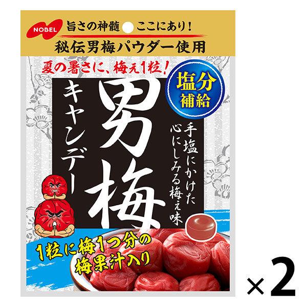 ノーベル 男梅キャンデー　2個　飴　キャンディ