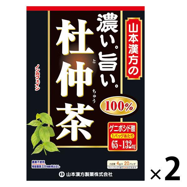 山本漢方製薬　濃くて旨い杜仲茶100%　1セット（4g×20包入×2箱）　健康茶　お茶