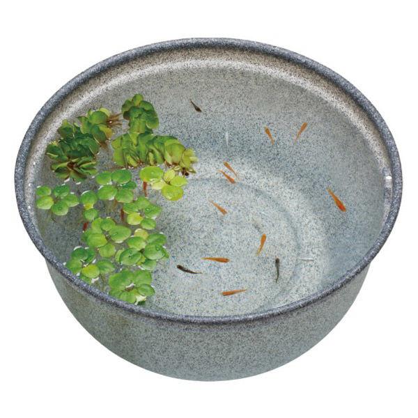 メダカ元気 メダカのための飼育鉢 みかげ 420 1個 ジェックス 新入荷