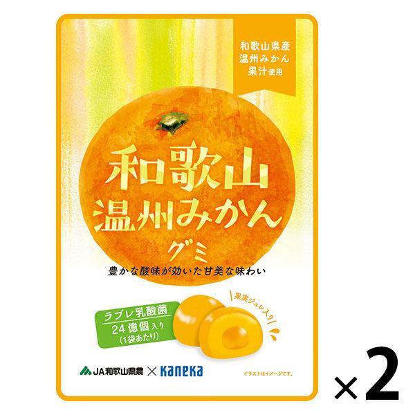 【アウトレット】和歌山温州みかんグミラブレ乳酸菌入 グミ ご当地 1セット（1個×2） カネカ食品