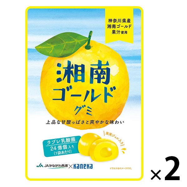 【アウトレット】湘南ゴールドグミ ラブレ乳酸菌入 グミ ご当地 1セット（1個×2） カネカ食品