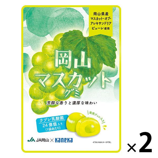 【アウトレット】岡山マスカットグミラブレ乳酸菌入 グミ ご当地 1セット（1個×2） カネカ食品