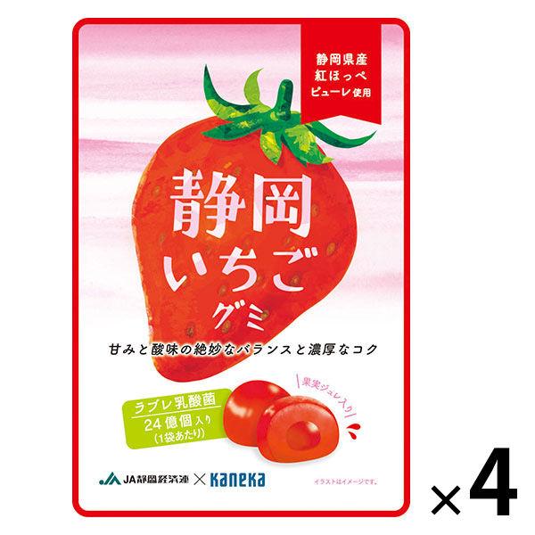 【アウトレット】静岡いちごグミラブレ乳酸菌入 グミ ご当地 1セット（1個×4） カネカ食品