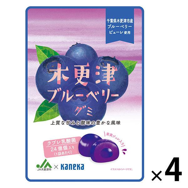 【アウトレット】木更津ブルーベリーグミラブレ乳酸菌入 グミ ご当地 1セット（1個×4） カネカ食品