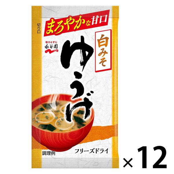 フリーズドライゆうげ 1セット（1袋×12） 永谷園