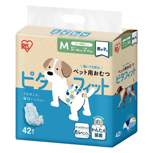 ペット用おむつ ピタフィット 男の子用 M 小〜中型犬サイズ 42枚入 1袋 アイリスオーヤマ