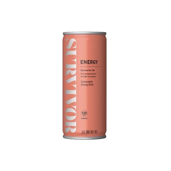 （エナジードリンク）富永貿易 サバイバー エナジードリンク 250ml 1箱（30缶入）