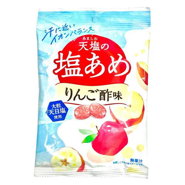 暑さ対策 塩分チャージ 個包装 お配り菓子 天塩の塩あめ　りんご酢味 1個