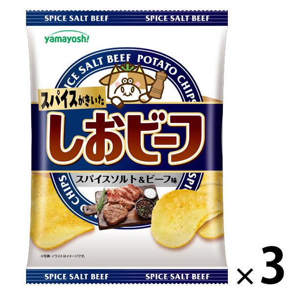 スナック菓子 食べきりサイズ ポテトチップス しおビーフ 1セット（1個×3）