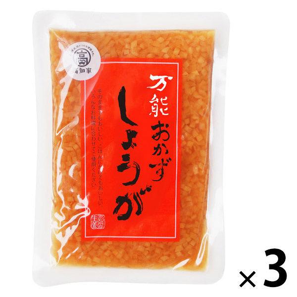万能おかずしょうが 1セット（1袋（130g）×3） 生姜しょうゆ漬 四国健商