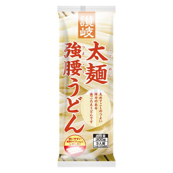 【アウトレット】さぬきシセイ 讃岐太麺強腰うどん300ｇ 1個