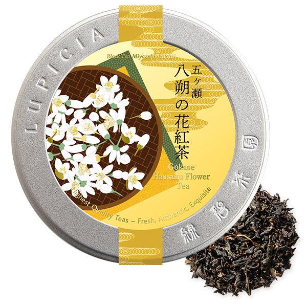 ルピシア 3404 五ヶ瀬 八朔の花紅茶 30g限定デザイン缶1缶(30g)茶葉