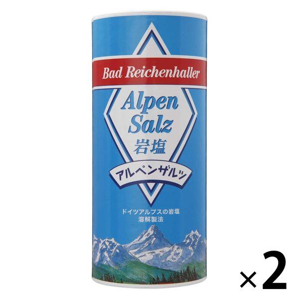 アルペンザルツ 岩塩 500g 2個 SKWイーストアジア 塩