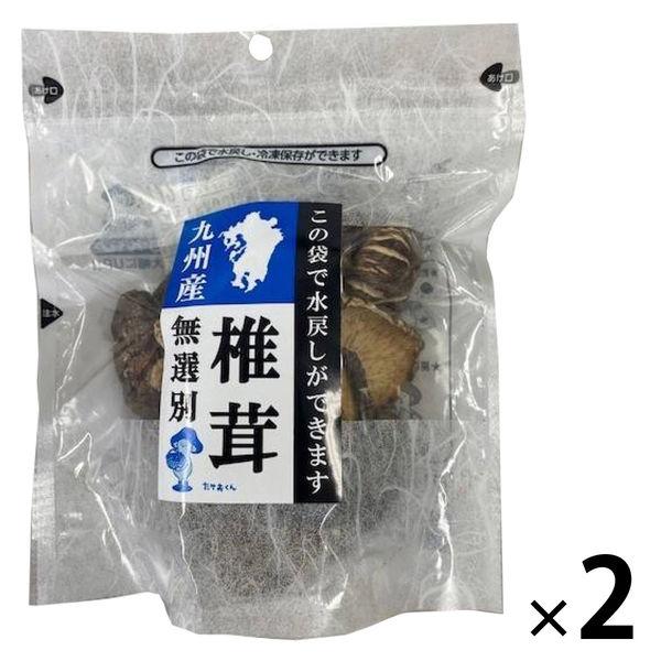 九州産 無選別椎茸 40g 1セット（2個）王将椎茸 袋のまま水戻し可能