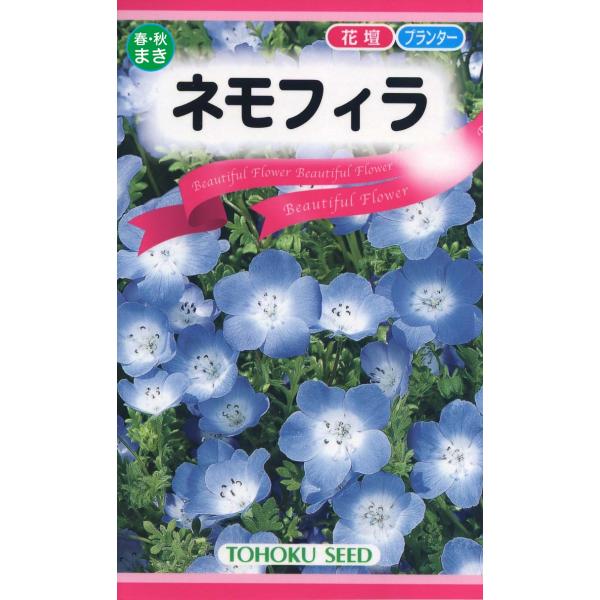 他サイト： トーホクの種 ネモフィラ 春・秋まきのタネ 内容量0.6mlの商品画像